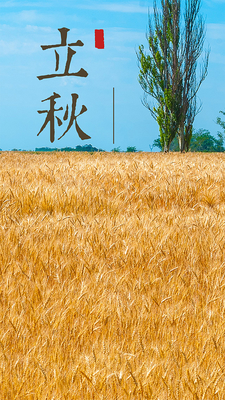 立秋0807H5背景