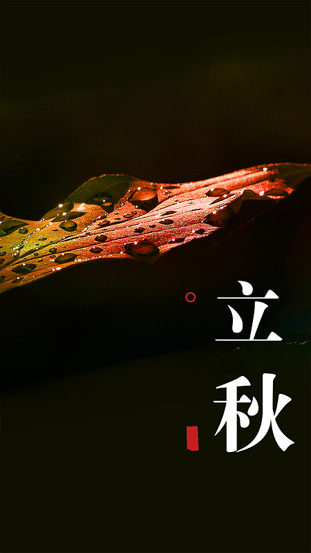 立秋0807h5背景