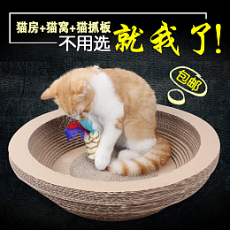 宠物可爱宠物屋直通车