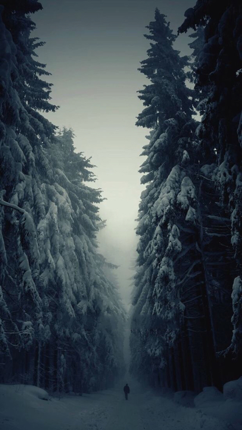 库网-恐怖森林独自走在雪路上背影大树海报