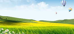 油菜花大气景色热气球蓝色banner