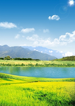 油菜花风景海报背景素材