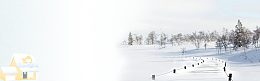 冬天雪景松树banner