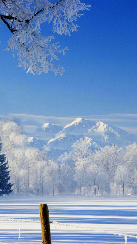 雪地的背景背景素材_雪地的背景背景图片下载_觅元素