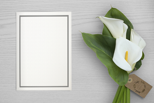 兰花木纹唯美背景