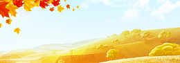秋风文艺小清新枫叶banner