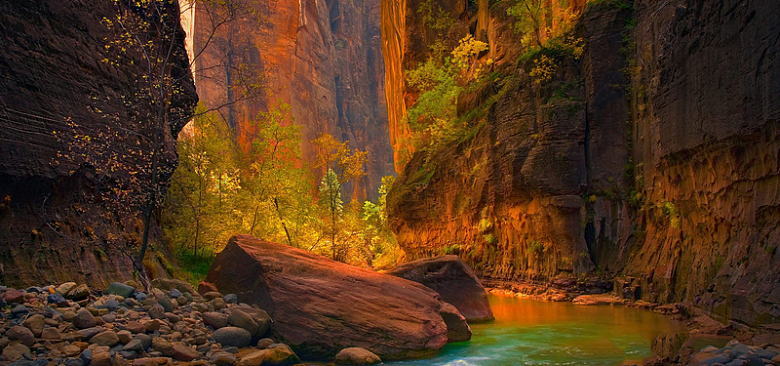 金色秋天穿梭在锡安国家公园山崖间的处女河