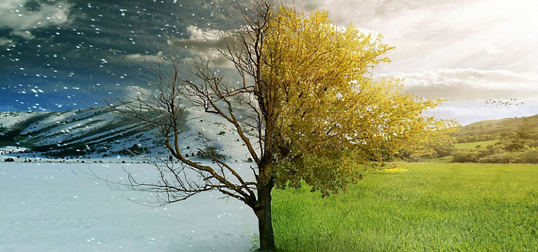 景色png冬天的树png春天的树木png树木的春夏秋冬矢量图png树木的春夏