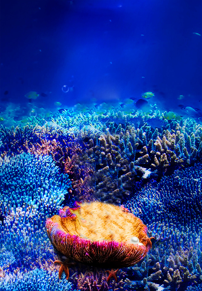 蓝色海洋珊瑚海底微生物商务广告背景素材