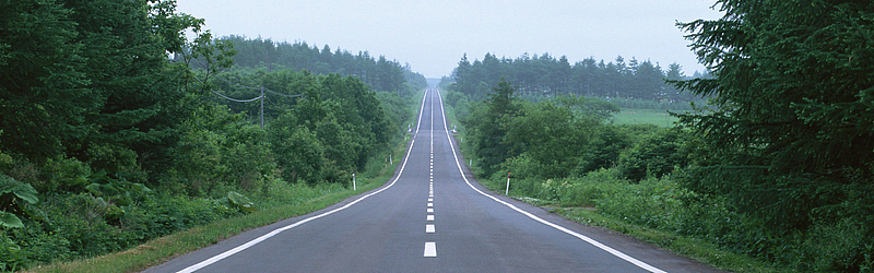 森林道路背景