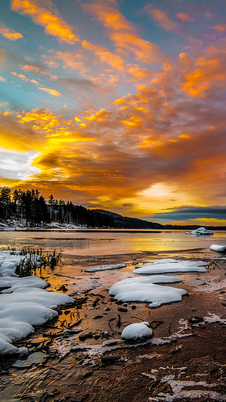 冬季的雪超清h5背景