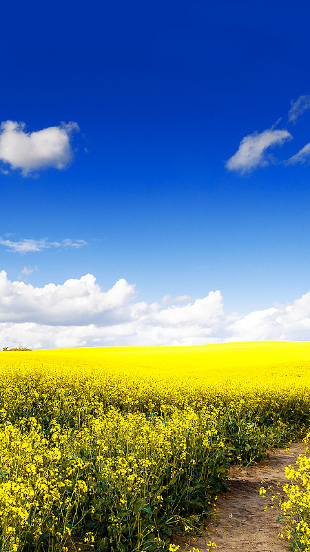 蓝色风景安卓宽屏h5背景