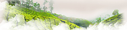 清明节春季踏青banner