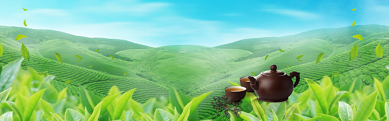 中国风大气茶园绿色背景