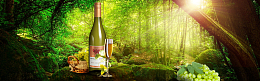 白葡萄酒简约森林阳光banner