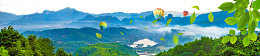 淘宝武夷山茶叶海报背景