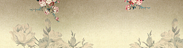 中国风淘宝中年女装服饰背景banner
