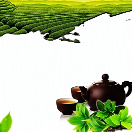 清新简约茶广告背景
