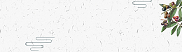 蜜饯类中国风简约banner