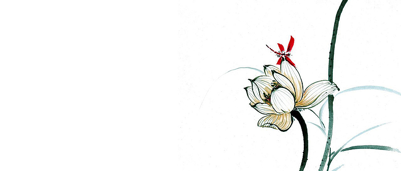 荷花国画纯白背景