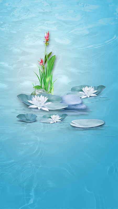 中国风水墨画荷花海报h5背景源文件下载