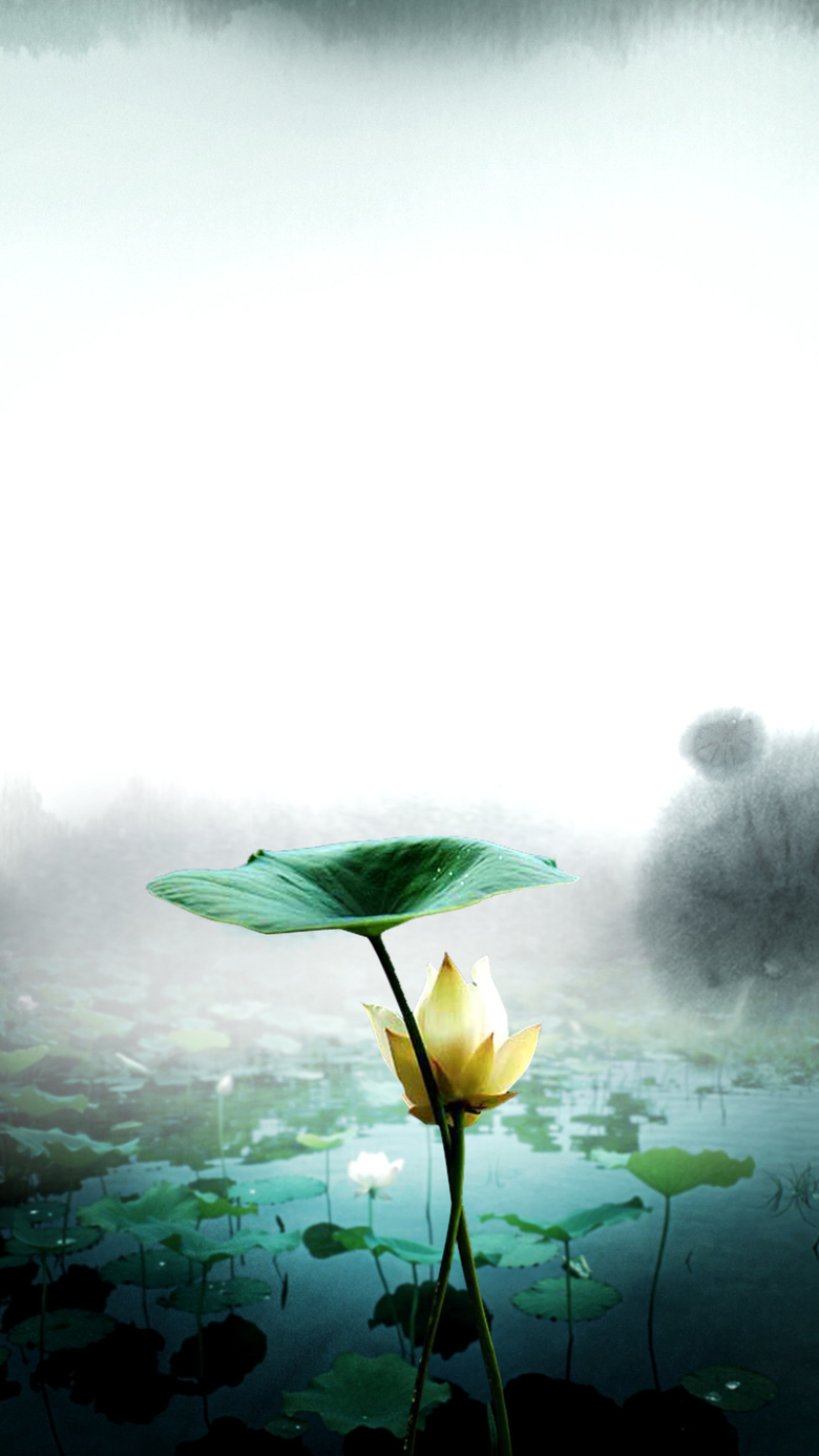 荷叶,荷塘,池塘,出淤泥而不染,莲花,莲叶,h5[声明] 觅元素所有素材为