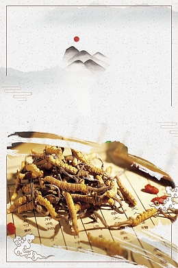 冬虫夏草中医文化