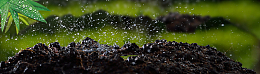 雨鞋背景banner