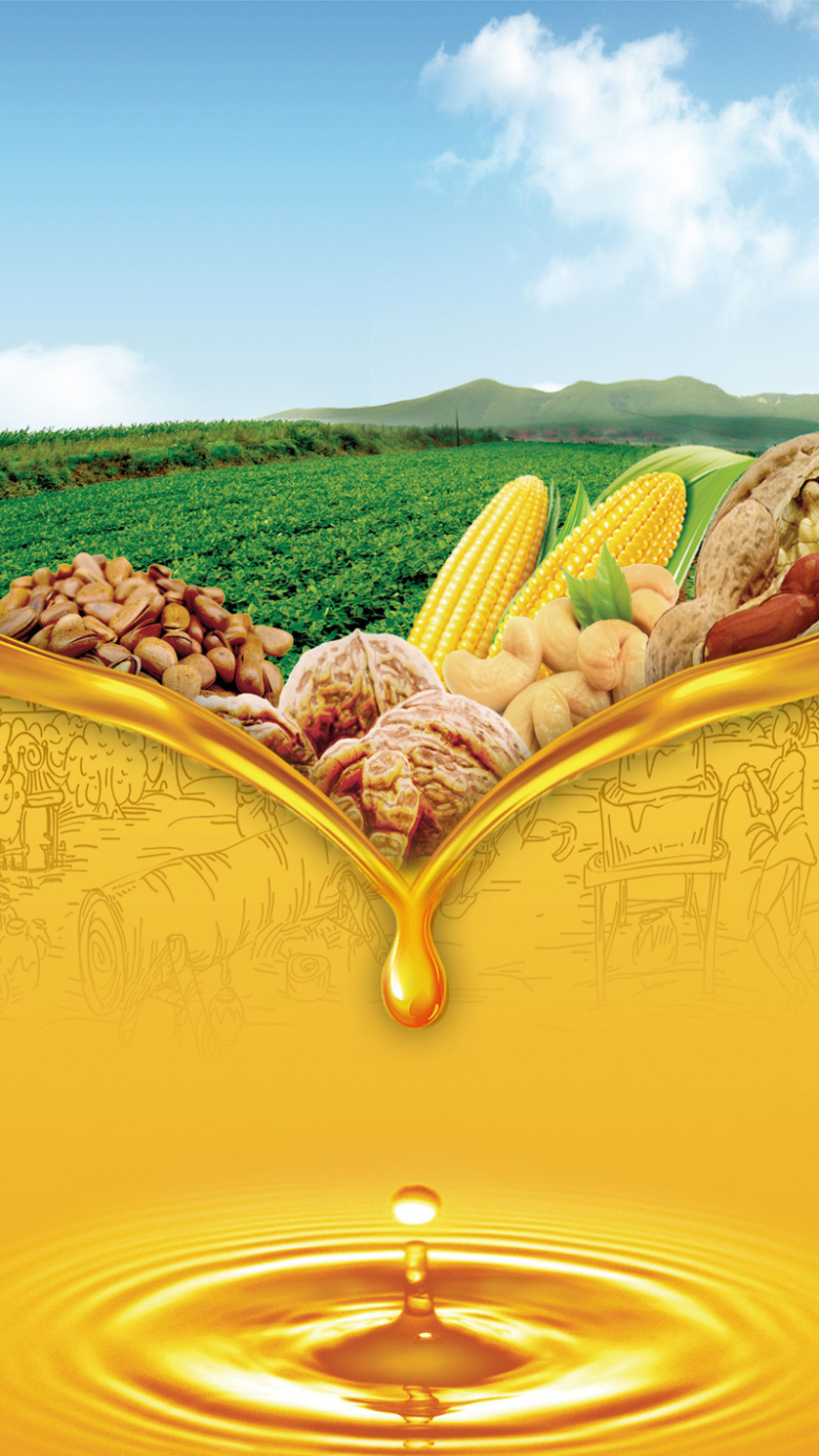 健康食用油h5背景