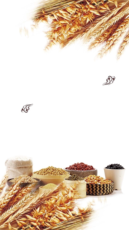 简约小麦面包PS源文件H5背景素材