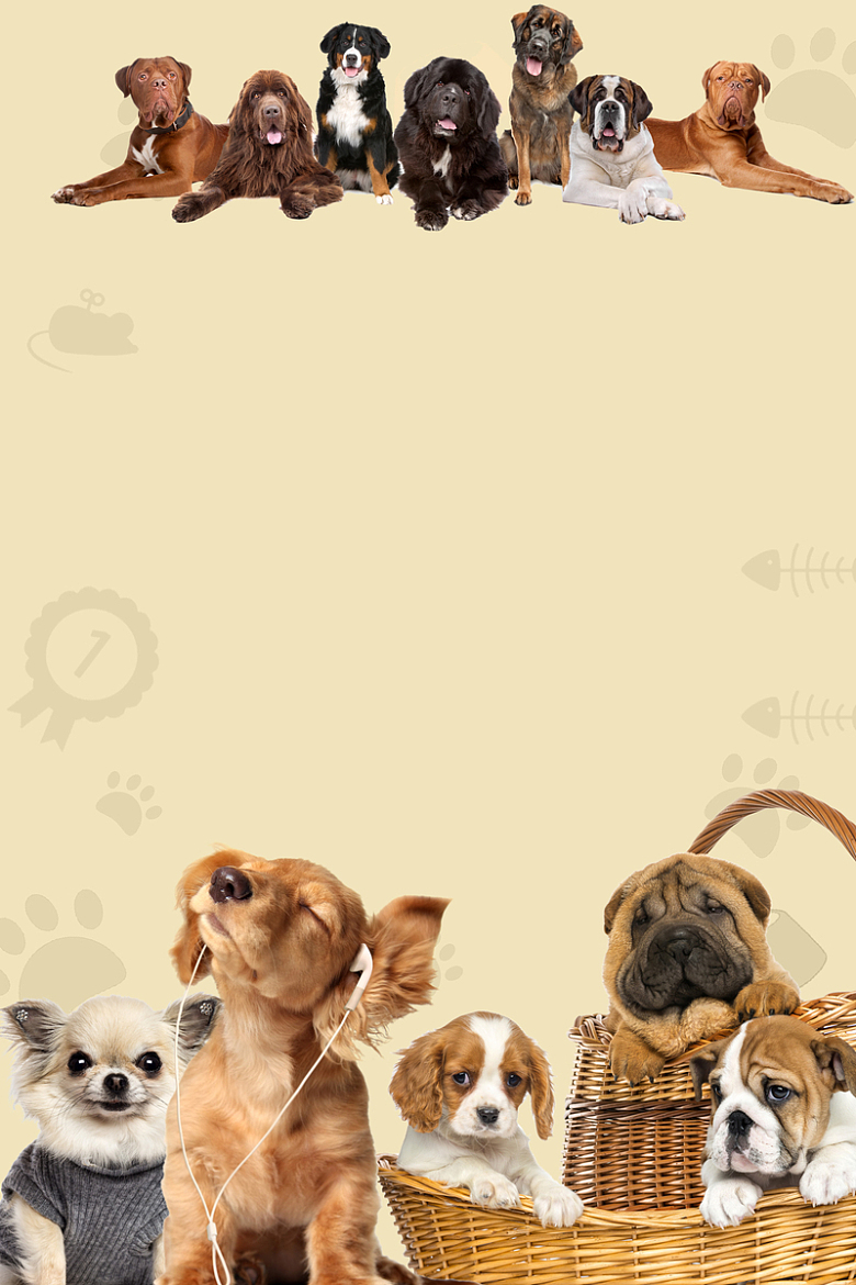 宠物猫狗宠物医院俱乐部海报背景素材
