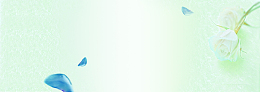 浅绿色淡雅淘宝化妆品背景
