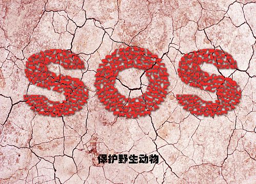 地裂效果SOS保护动物背景素材