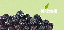 美食蔓越莓树莓覆盆子桑葚水果背景