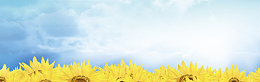教师节banner创意设计