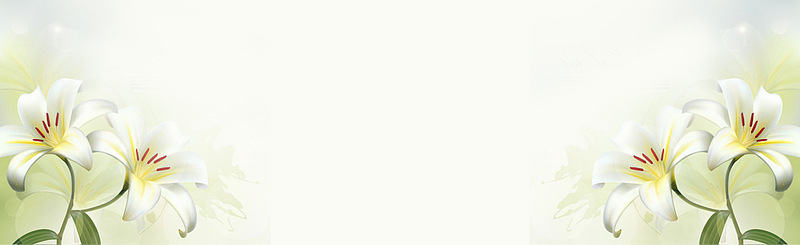 百合花清新背景banner