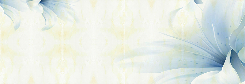 蓝色百合花简约背景