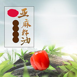 亚麻籽油食品PSD分层主图背景素材