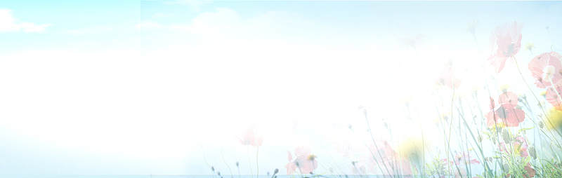女装专用创意banner设计 