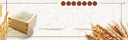 谷物养生几何稻谷米色banner