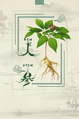 中药人参滋补保健