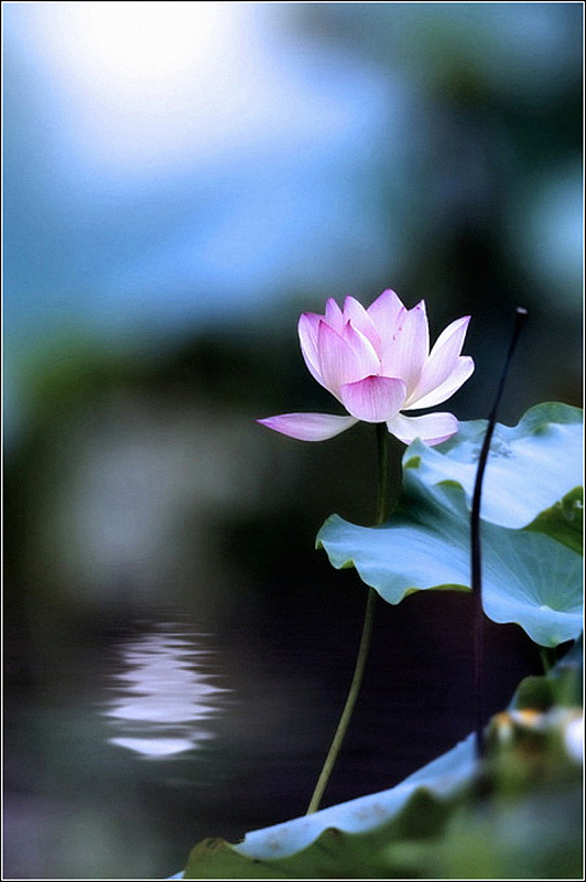 禅意素材背景素材_禅意素材背景图片下载_觅元素