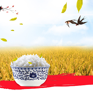 粮食大米食品psd分层主图背景素材