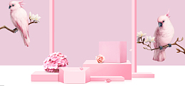 粉色浪漫小鸟珠宝首饰天猫淘宝电商banner