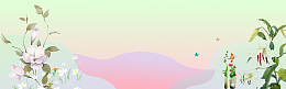 插画banner海报展板