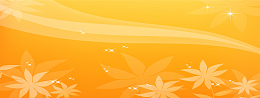 唯品会banner