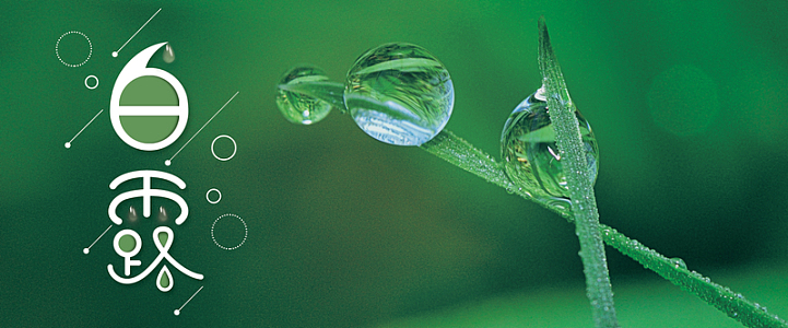 二十四节气白露植物露水banner海报