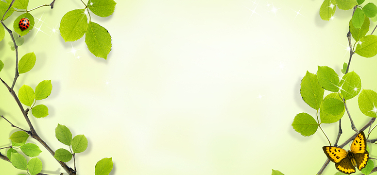 边框树叶创意简约绿色banner背景