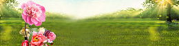 banner海报