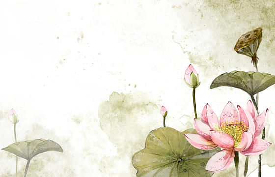 手绘荷花漫画背景素材jpg淘宝文艺白色bannerpsdjpg学生读书天地黄色